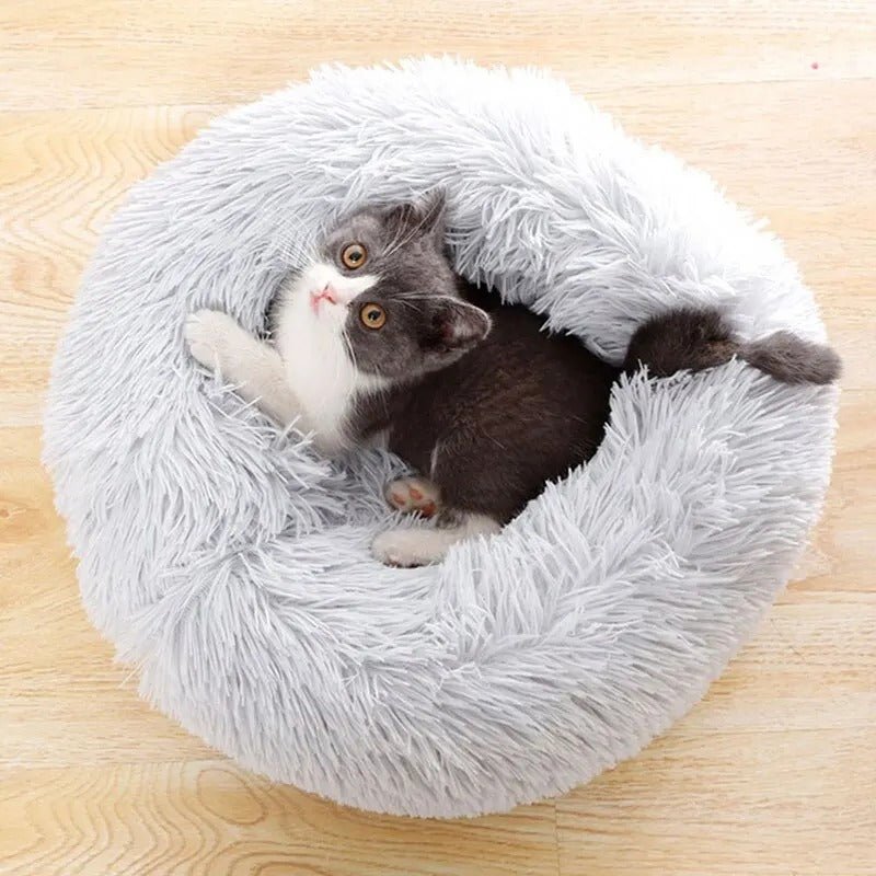 Coussin pour chat | CatCushion™ - Joyeux Ronron