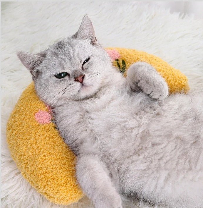 Coussin pour chat | CatPillow™ - Joyeux Ronron