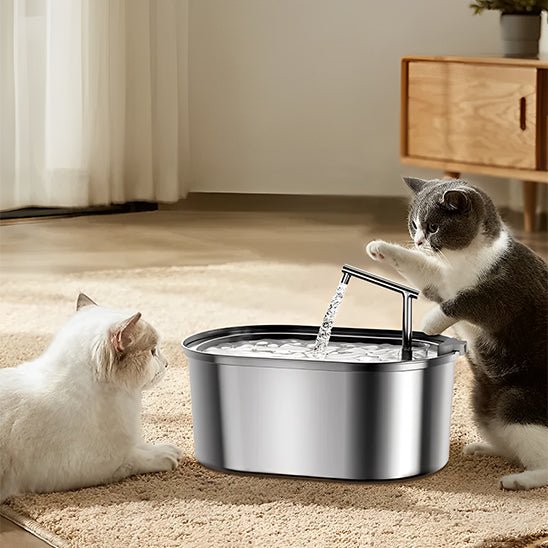 Fontaine à eau pour chat | AquaPur™ - Joyeux Ronron
