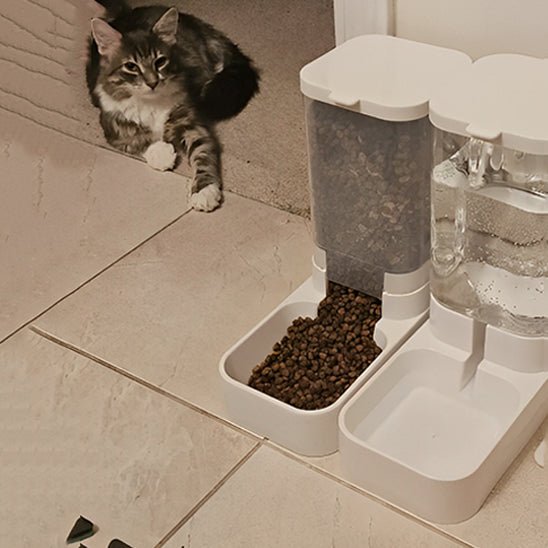 Gamelle chat automatique | SmartBowl™ - Joyeux Ronron