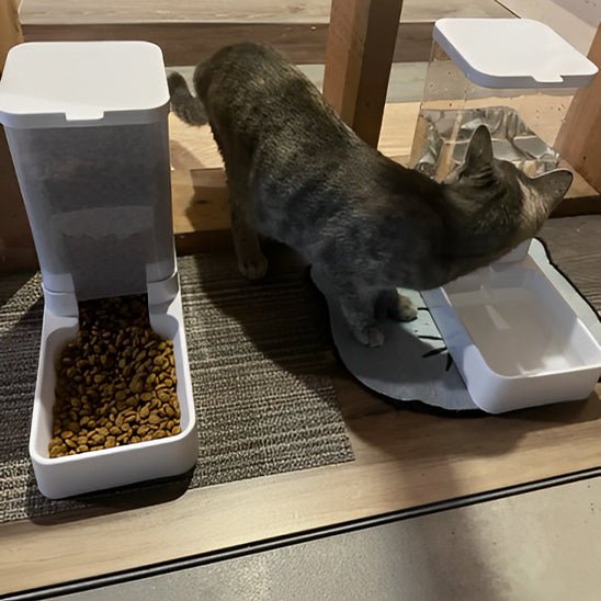 Gamelle chat automatique | SmartBowl™ - Joyeux Ronron