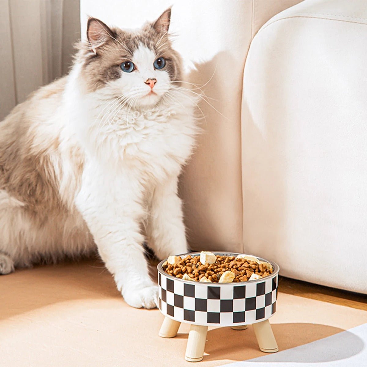 Gamelle pour chat | ElevateFeeder™ - Joyeux Ronron
