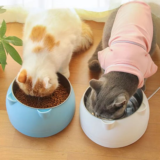 Gamelles anti glouton chat | EasyEat™ - Joyeux Ronron