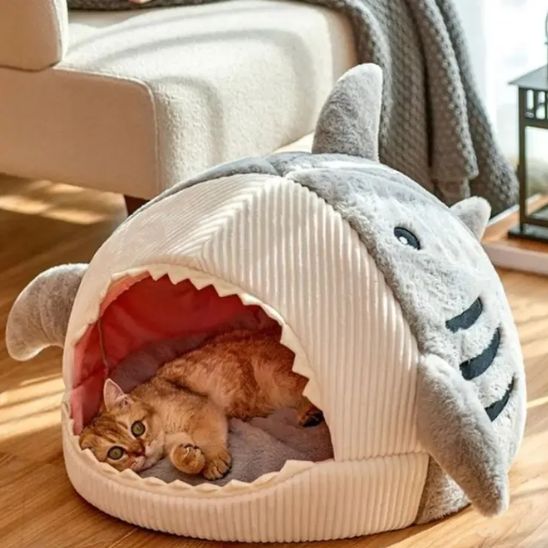 Niche pour chat requin