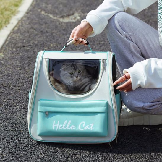 Sac à dos pour chat | ChicBag™ - Joyeux Ronron