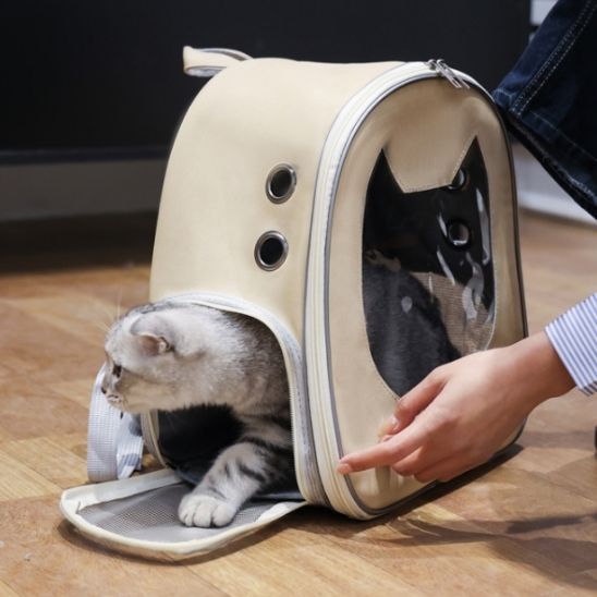 Sac à dos pour chat | MuseBag™ - Joyeux Ronron