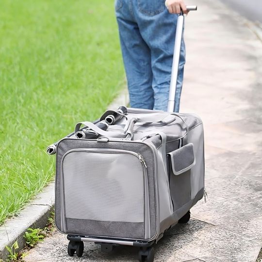 Sac de transport pour chat | RollPackâą - Joyeux Ronron