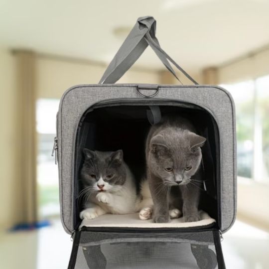 Sac de transport pour chat | RollPackâą - Joyeux Ronron
