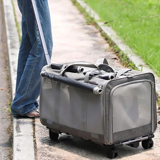 Sac de transport pour chat | RollPackâą - Joyeux Ronron