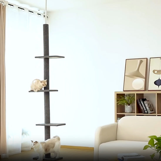 Arbre à chat | CatTower™