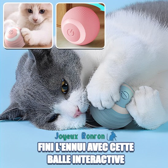 Balle pour chat | Rollingball™