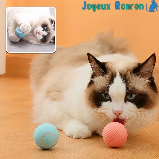 Balle pour chat | Rollingball™