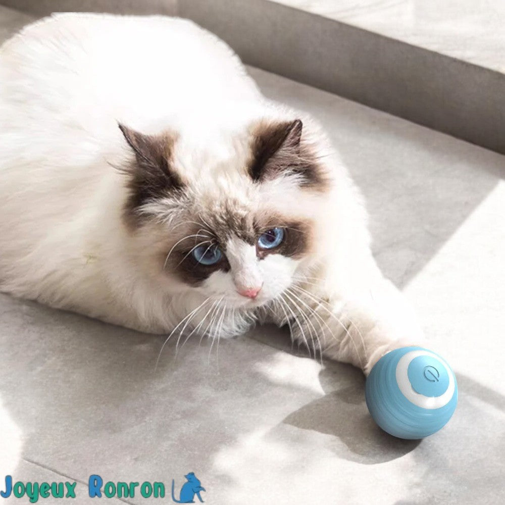 Balle pour chat | Rollingball™