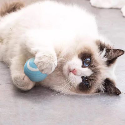 Balle pour chat | Rollingball™ - Joyeux Ronron