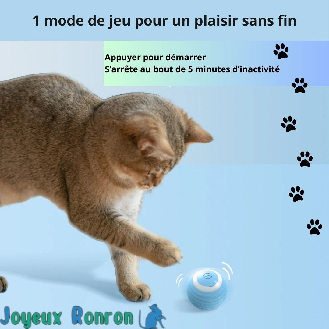 Balle pour chat | Rollingball™