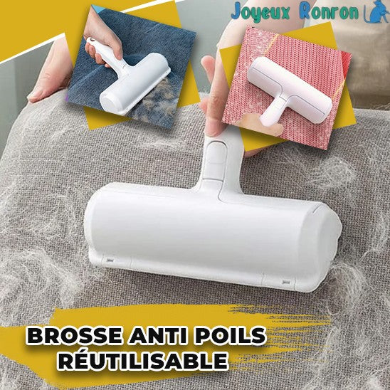 Brosse anti poils | Byepoils™