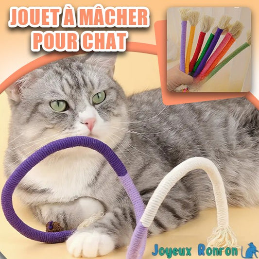 Corde à mâcher chat | CatCorde™