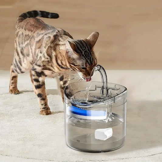 Fontaine à eau filtrante | SenseFountain™ - Joyeux Ronron