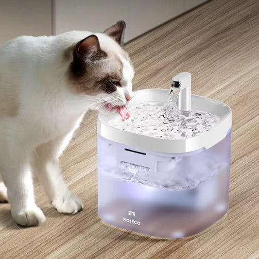 Fontaine à eau potable | AquaCascade™ - Joyeux Ronron