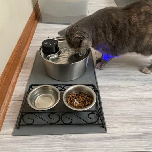 Fontaine à eau pour chat | AquaSteel™ - Joyeux Ronron