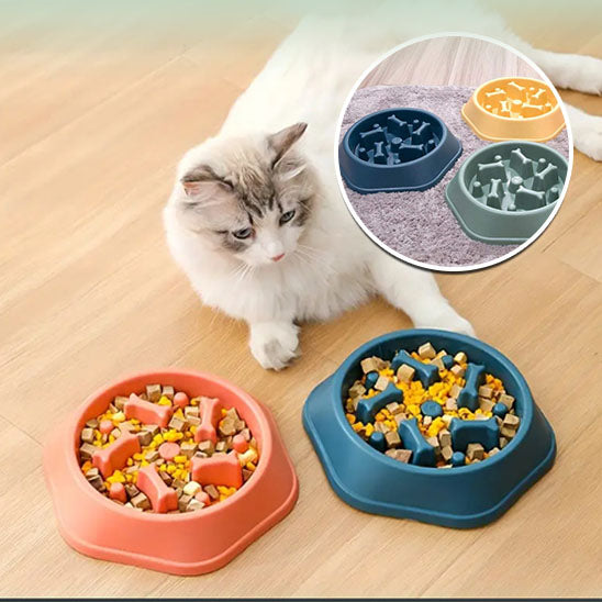 Gamelles anti glouton chat | SlowBowl™