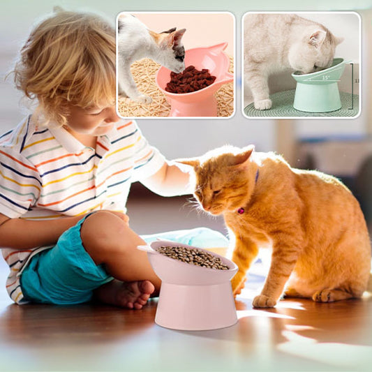 Gamelles anti glouton chat | SoftBowl™