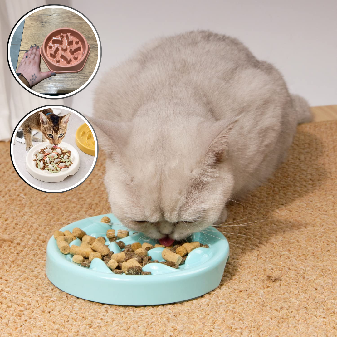 Gamelles anti glouton chat | SlowBowl™