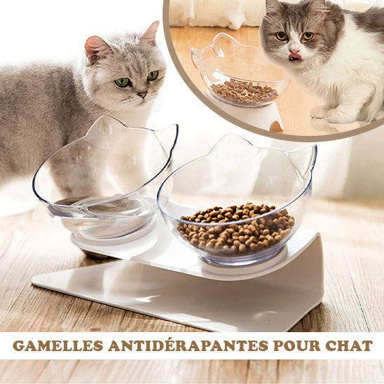 Gamelle chat surélevée | Bolcat™ - Transparent