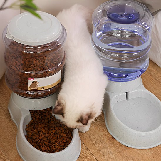 Gamelle chat automatique | AutoBowl™ - Joyeux Ronron