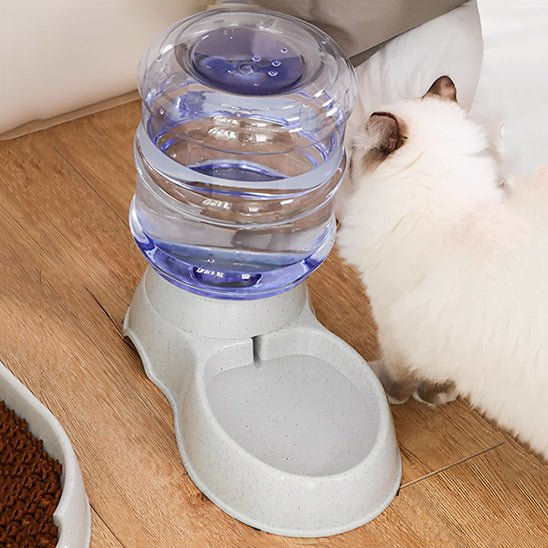 Gamelle chat automatique | AutoBowl™ - Joyeux Ronron
