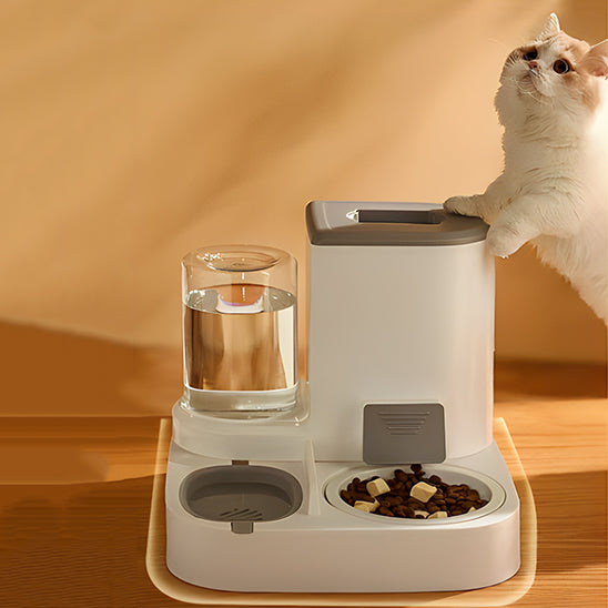 Gamelle chat automatique | SnackBowl™