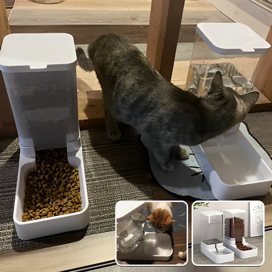 Gamelle chat automatique | SmartBowl™