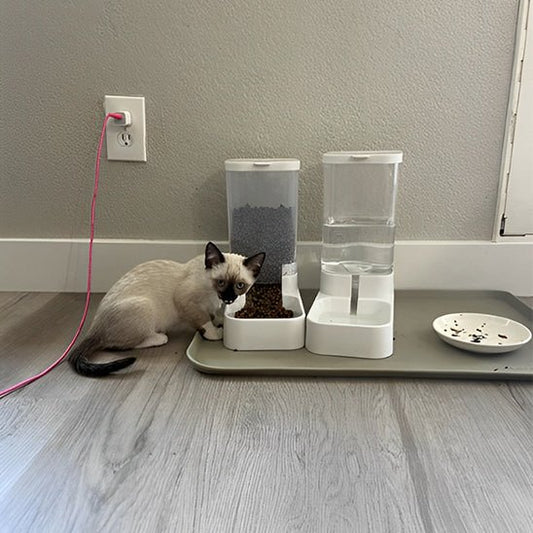 Gamelle chat automatique | SmartBowl™ - Joyeux Ronron