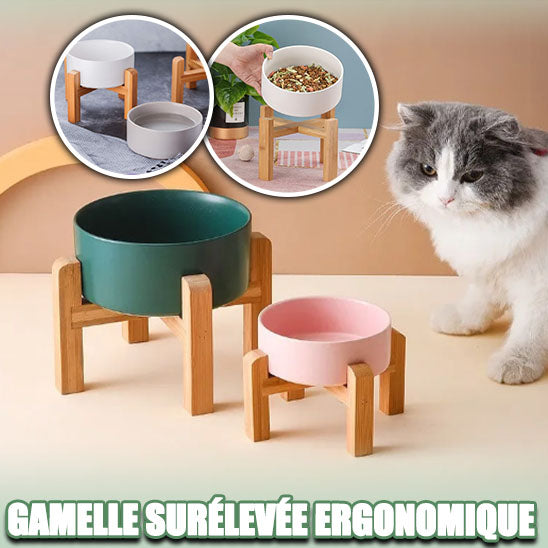 Gamelle pour chat | NaturalFeeder™