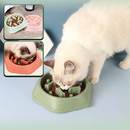 Gamelles anti glouton chat | SlowBowl™