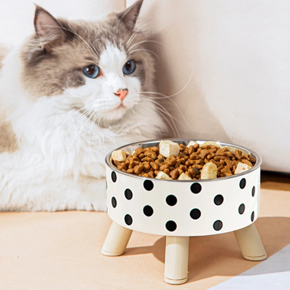 Gamelle pour chat | ElevateFeeder™ - Joyeux Ronron