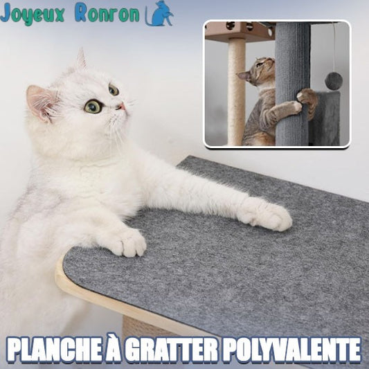 Griffoir pour chat | ScratchCat™