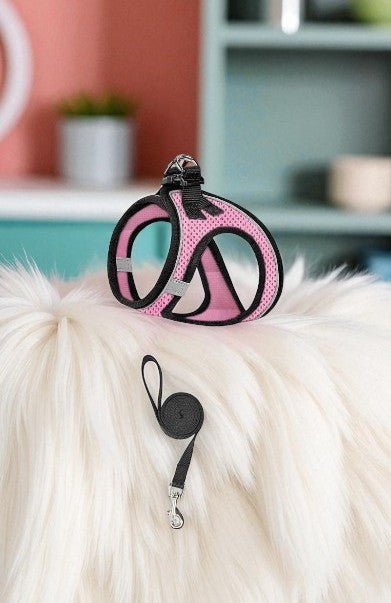 harnais-pour-chat-rose