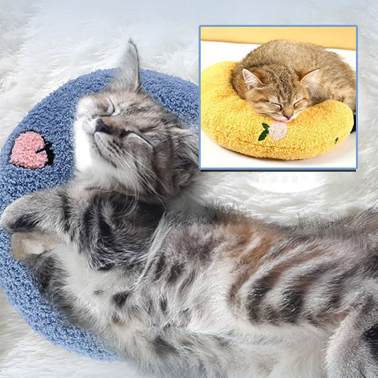 Coussin pour chat | CatPillow™