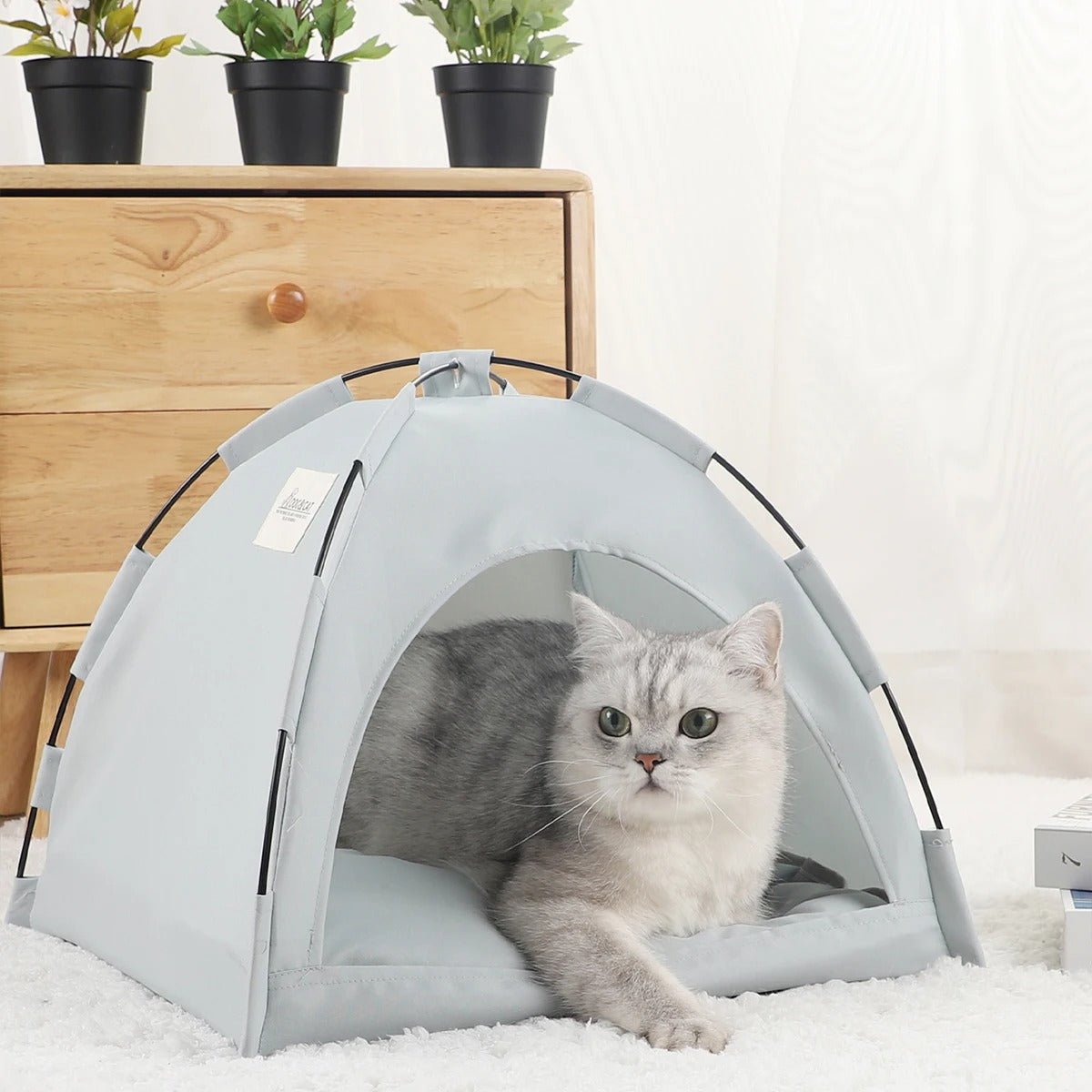 Maison pour chat | CampCat™