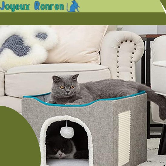 Maison pour Chat | Coduo™