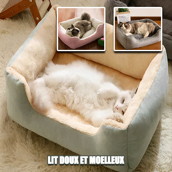 Niche pour chat | ComfortCat™