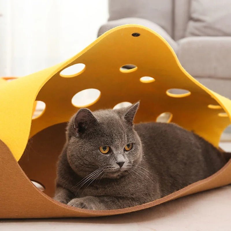 tunnel-pour-chat-jaune