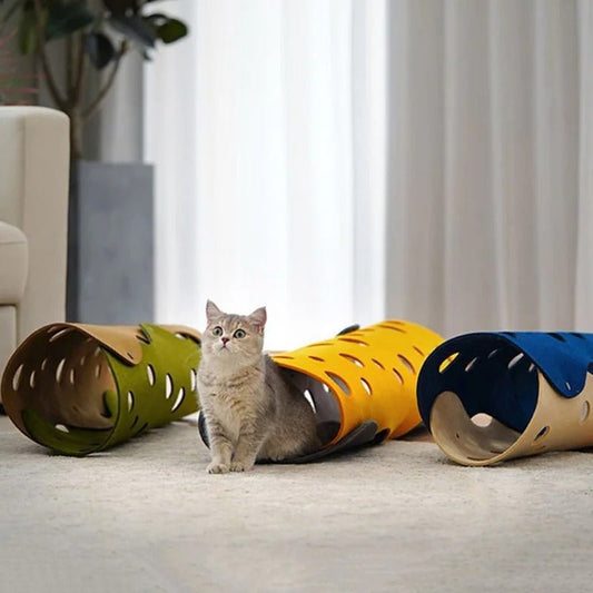 tunnel-pour-chat-bleu